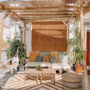 The Urban Jungle Hostal